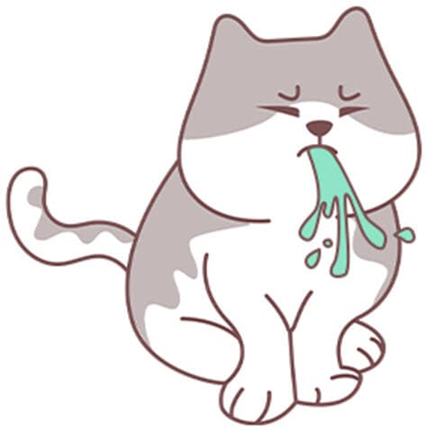 猫咪食物过敏症状｜如何排查过敏源？