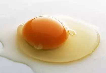 猫咪饮食指南：全蛋还是蛋黄？