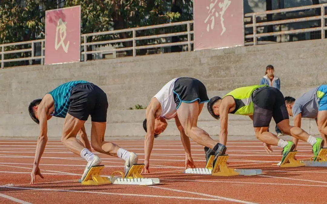 2024体育特长生高考新政：考试科目调整，招生名额增加