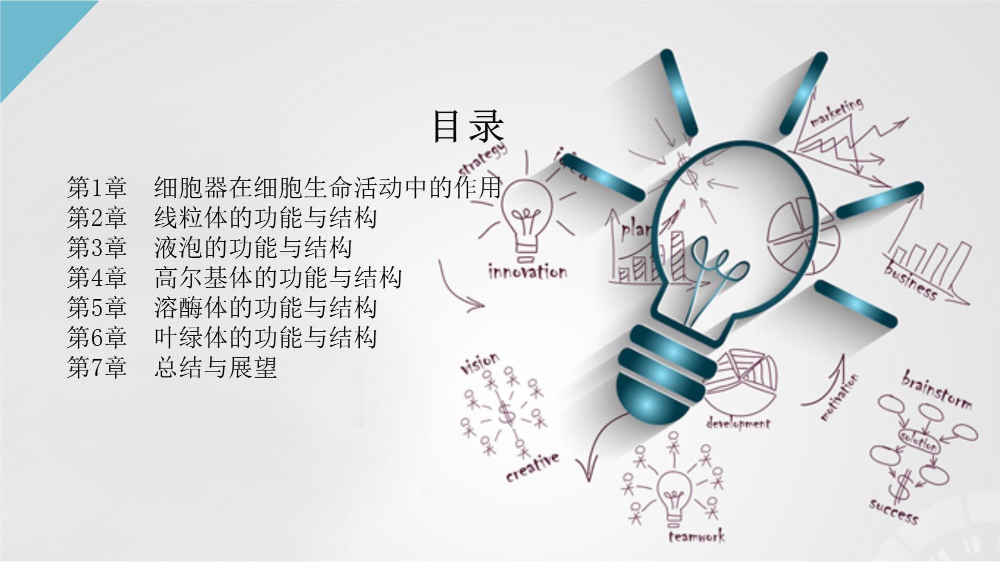 细胞器在细胞生命活动中的作用