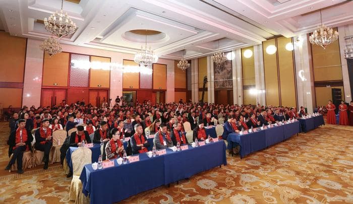 安徽蜂产业领跑全国，九华山峰会聚焦乡村振兴