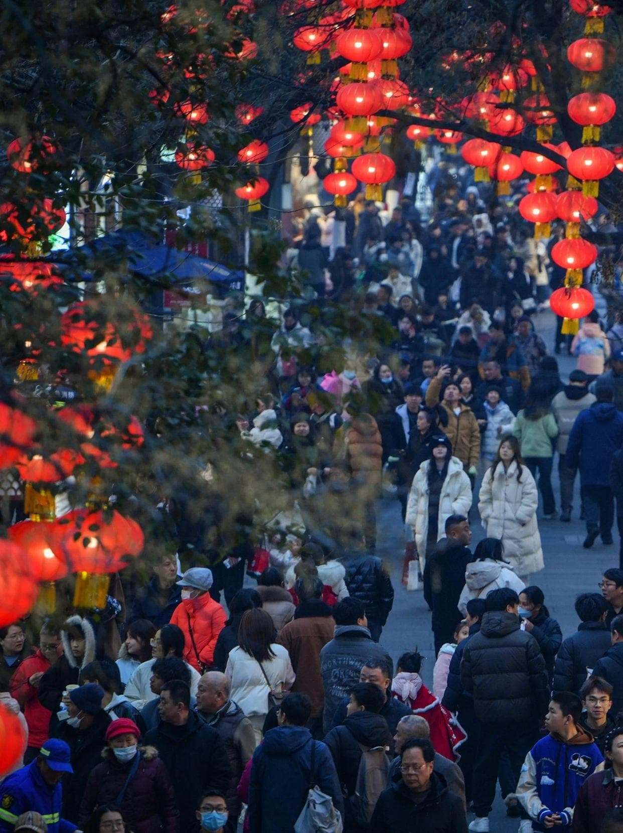 文化中国年│江苏南京：灯彩璀璨人如织，秦淮波映好年景