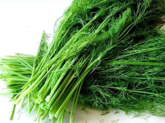 医生提醒：4种青菜高血压要少吃，小心让血压上涨，趁早扔下餐桌