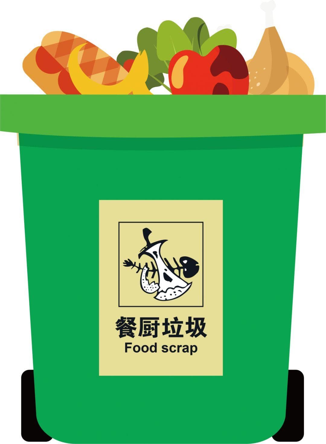 餐厨垃圾分类指南：常见误区与正确处理方法