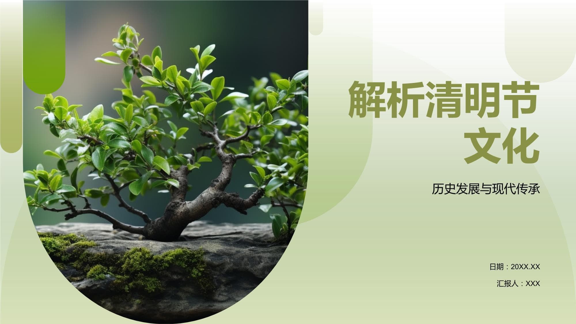 解析清明节文化：从历史渊源到现代传承