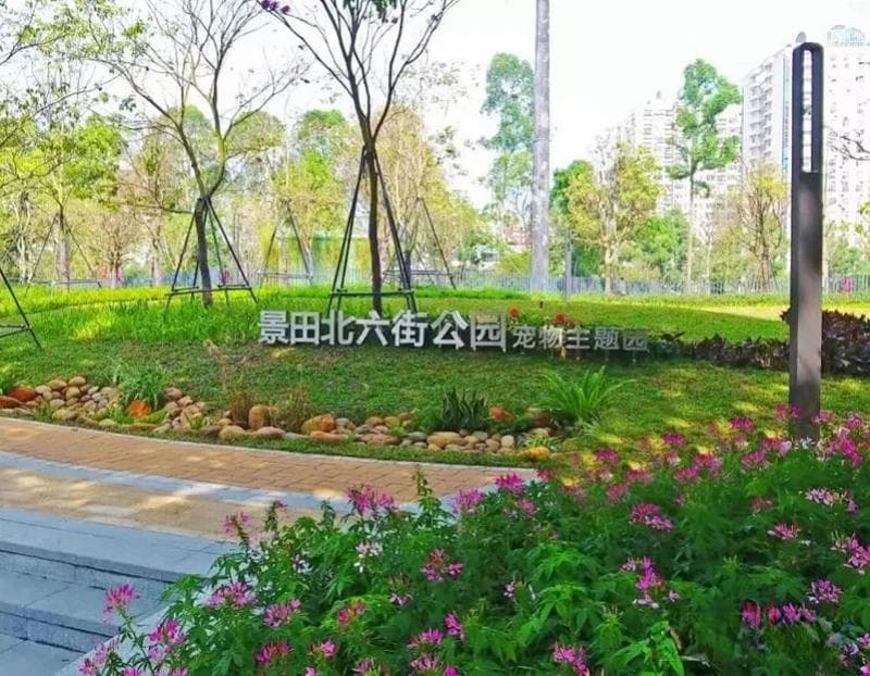 深圳规定：犬只不能进入公园，11座宠物友好公园除外