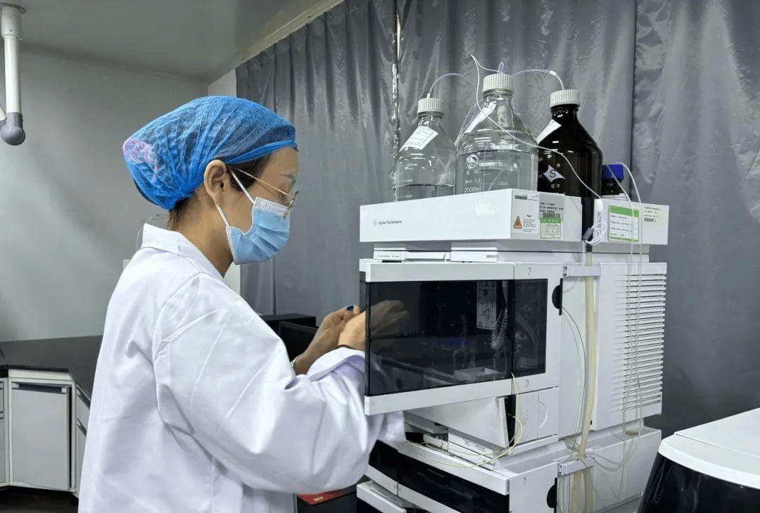 中药饮片检测项目详解：从性状到含量测定的全面指南