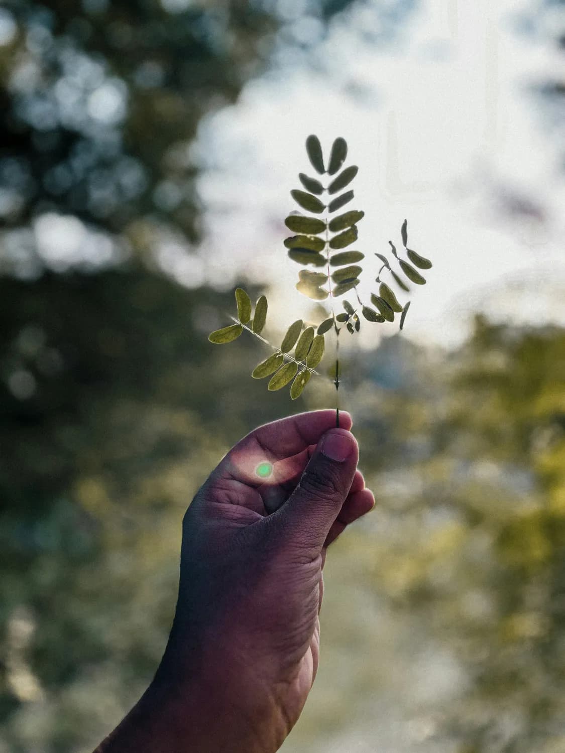 笑口常开，健康自来——面对肺结节的正确姿势