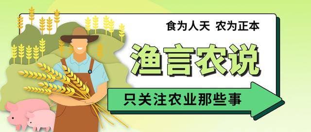 电影《放牛班的春天》的故事和主题分析