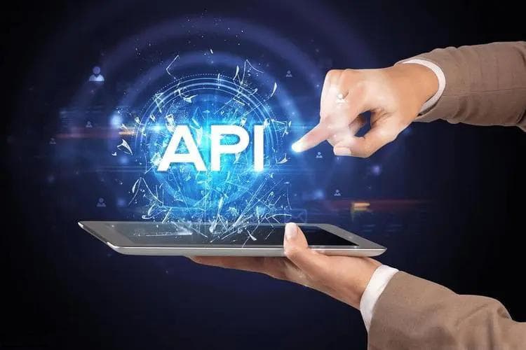 API接口新手入门指南