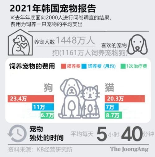 养宠预算全解析：不同宠物养护成本大揭秘