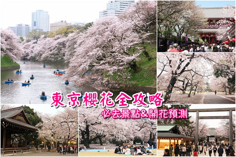 【东京赏樱】2025必去东京赏樱景点&樱花季预测总整理
