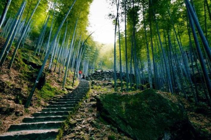 宜兴竹海风景区交通指南：自驾、公交、高铁全攻略