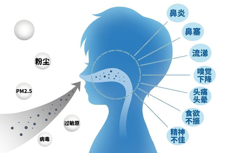 【同乐科普】香水与嗅觉