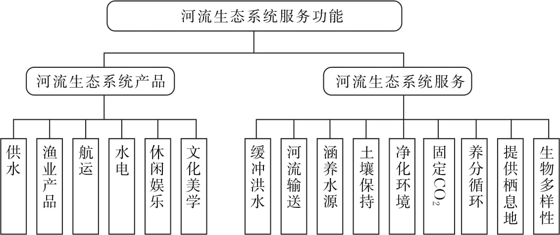 筑坝河流生态水文效应评估理论与实践