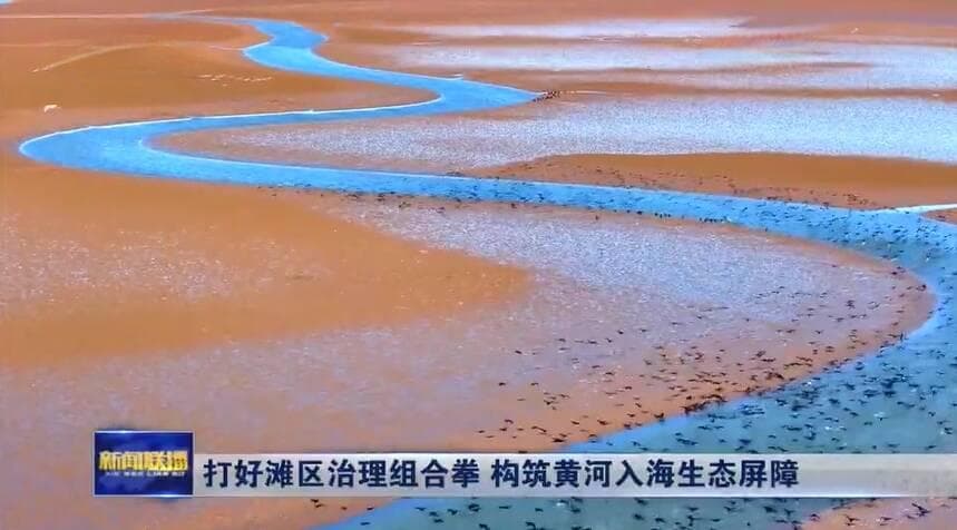 东营：打好滩区治理组合拳 构筑黄河入海生态屏障