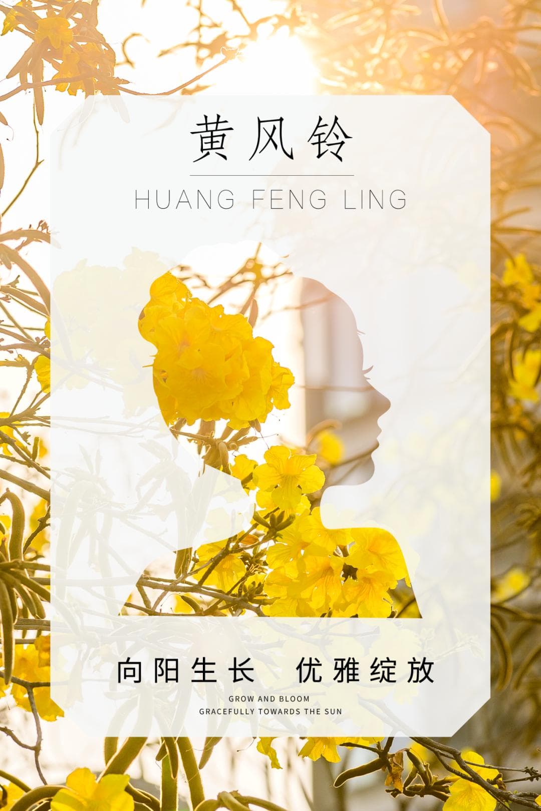 朵朵惊艳！一起来邂逅铁路的“花花”