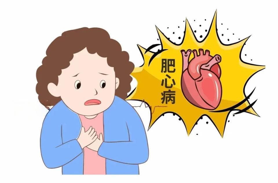 无需开刀！“一针”消融肥心病