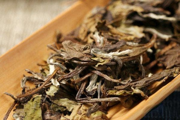 白茶四大产地，中国白茶四大原产地(地址及特点介绍)