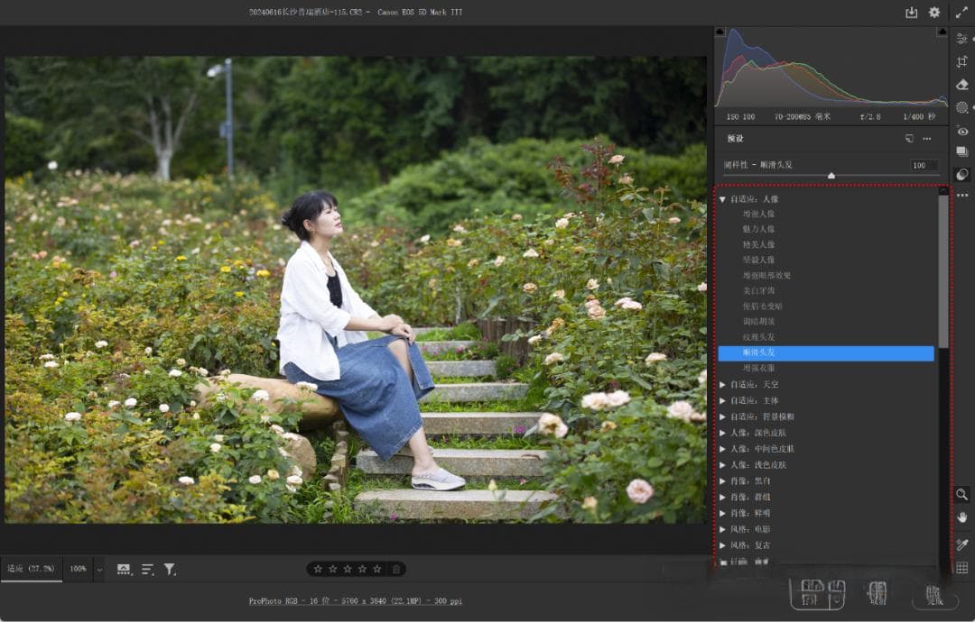 Camera Raw：内置预设详解