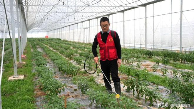 农作物不用化肥可以吗？