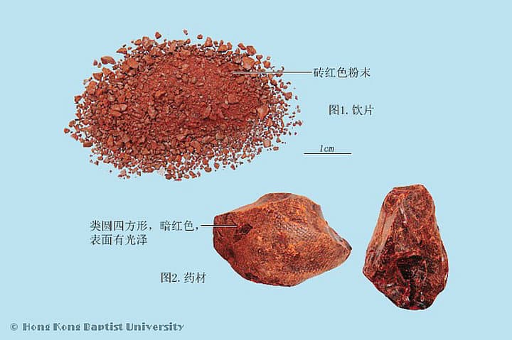 中药材血竭：来源、功效与应用
