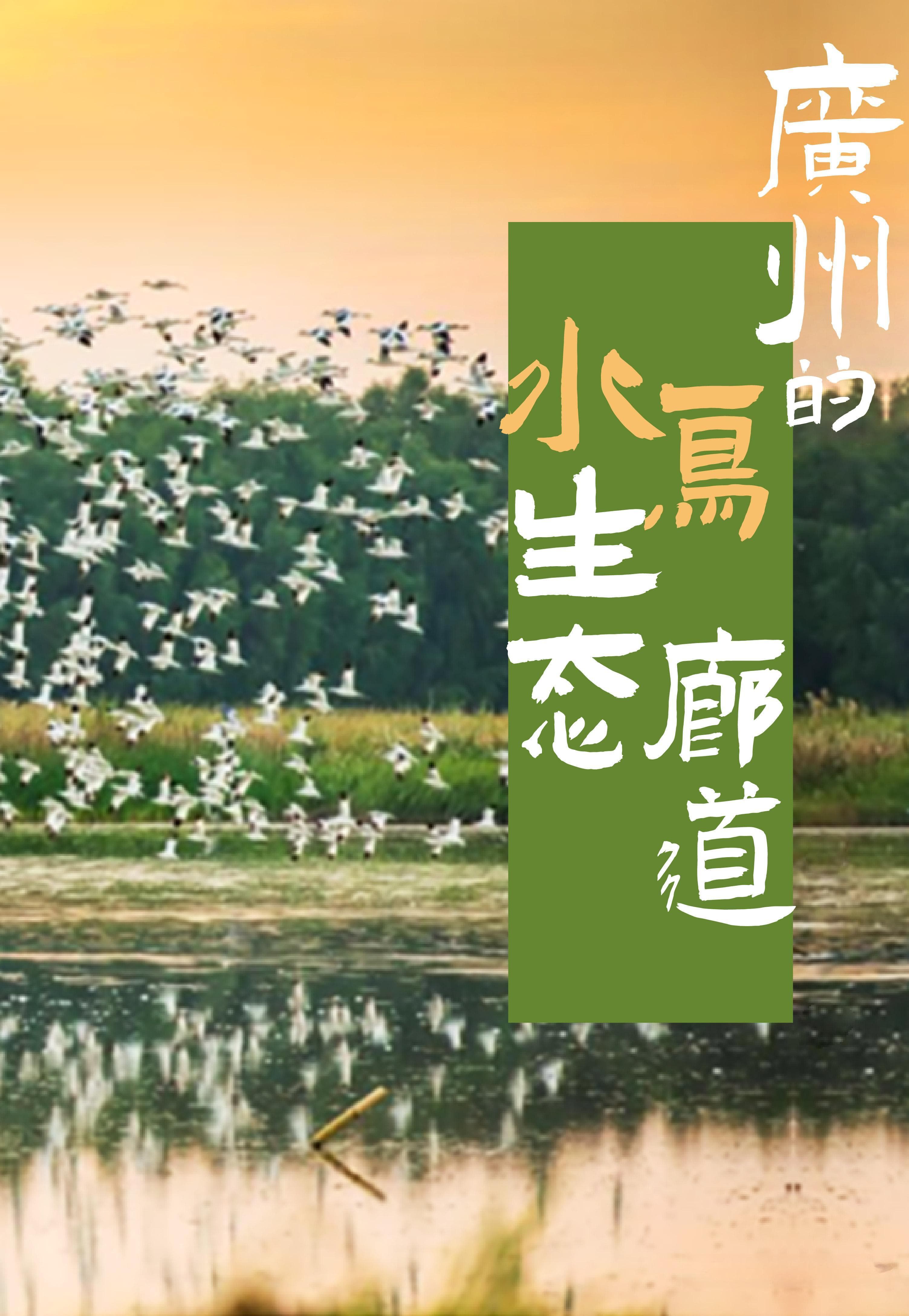“鸟”解一下！广州建水鸟生态廊道有多拼