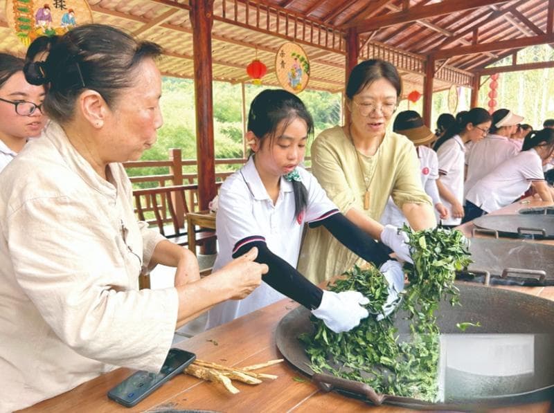 传承非遗体验茶韵