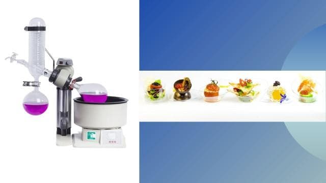 分子美食学：技术与创新