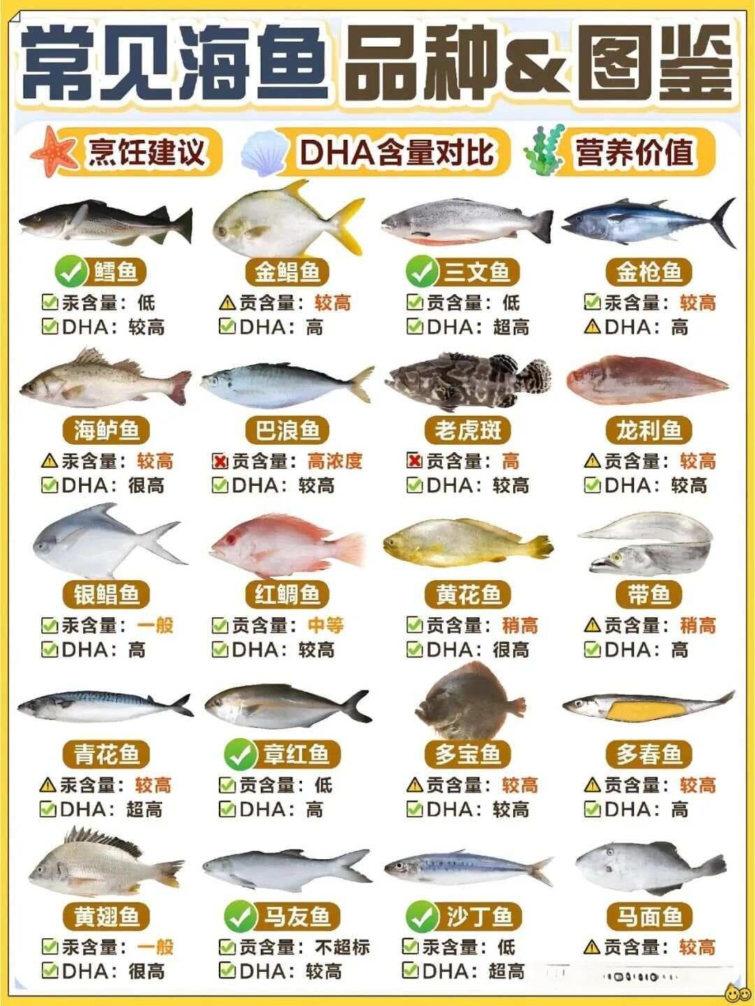 常见海鱼品种汞及DHA含量、附烹饪方法