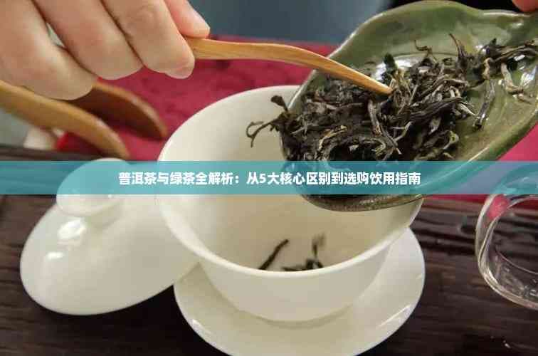 普洱茶与绿茶全解析：从5大核心区别到选购饮用指南