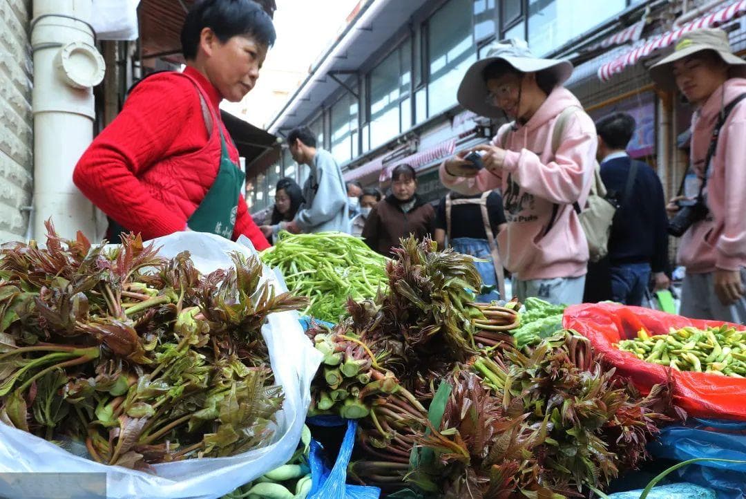 好雨知时节，清明去苏州，七头一脑，春菜正当“食”