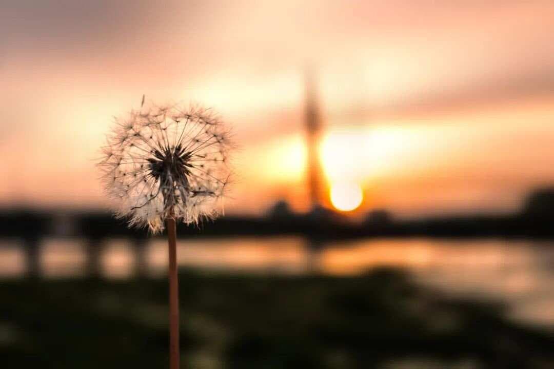 七个习惯，养成良好心态