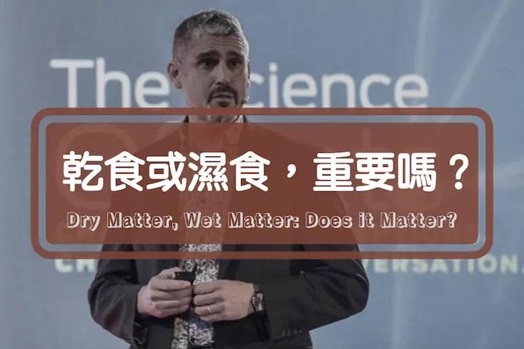 猫咪吃干粮还是湿粮？这不只是口感问题