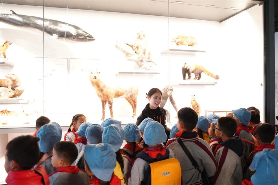 成都望江楼小学学生走进川大博物馆 开展“研学探宝”之旅