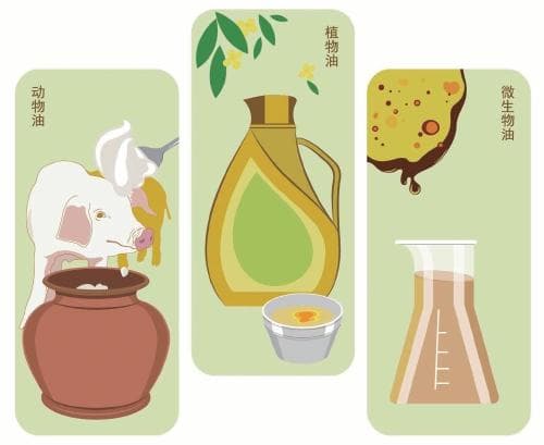 科学用油 让健康与美味同行
