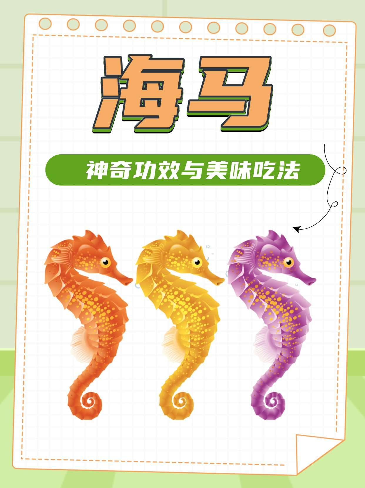 海马：神奇功效与美味吃法