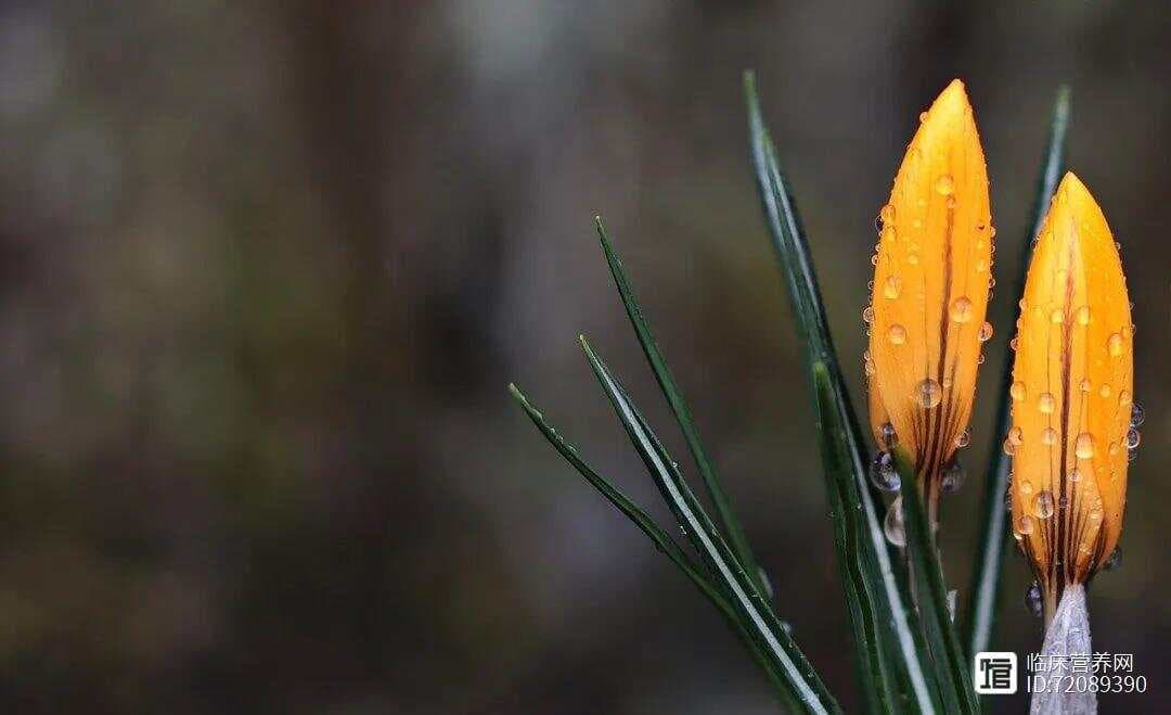 清明节气膳食推荐及易发疾病预防