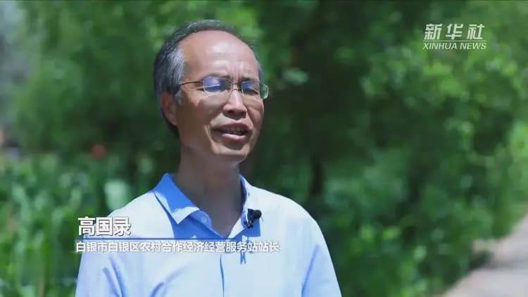 甘肃白银：发展专业合作社 促进乡村全面振兴