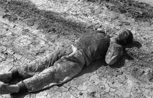 清末丁戊奇荒：一场导致千万人死亡的特大旱灾