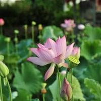转动惯量大会不会对机电一体化系统造成不良影响
