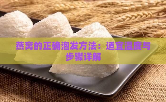 燕窝的正确泡发方法：适宜温度与步骤详解