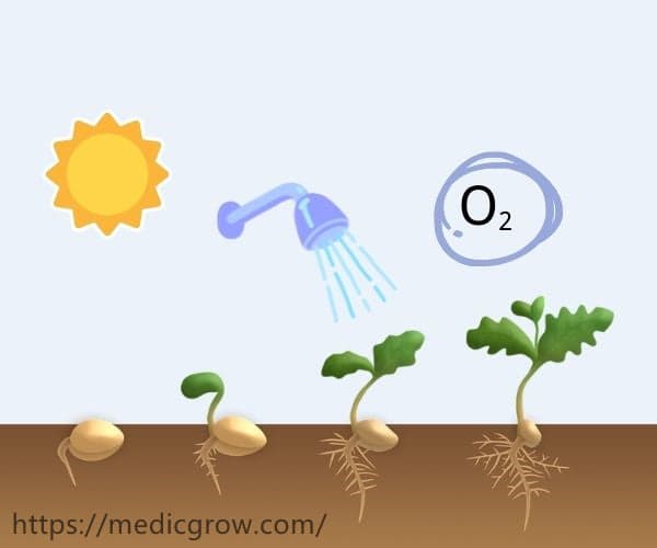 如何为您的种植室/帐篷选择合适的种植风扇