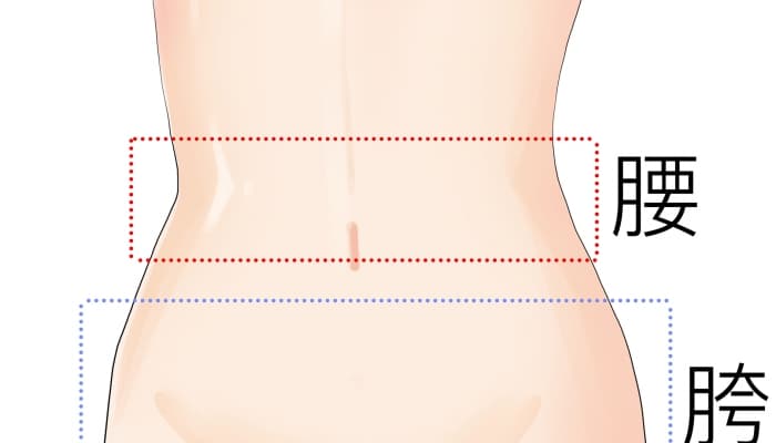 2尺6的腰围是多少厘米？腰围测量方法详解