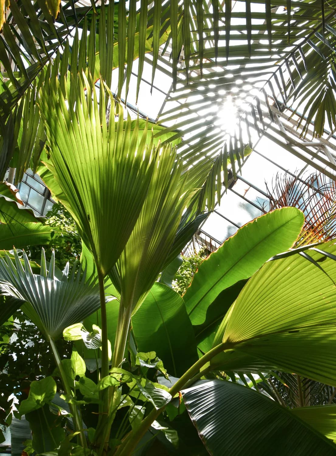 万宁旅游打卡：兴隆热带植物园、石梅湾、日月湾