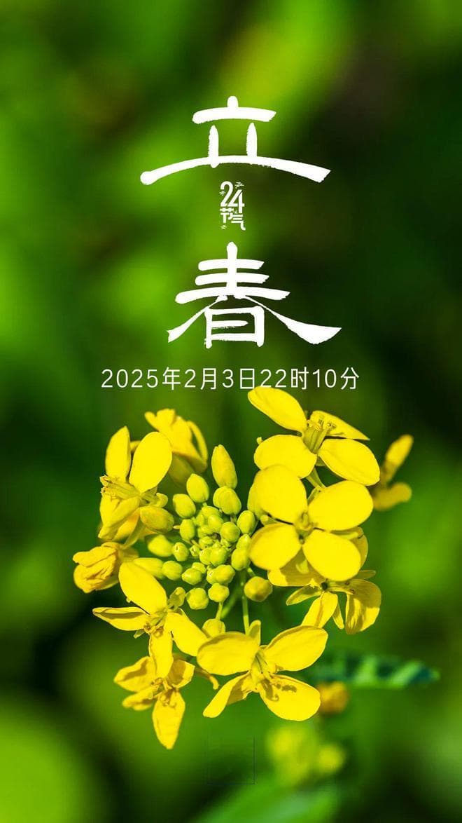 今日立春！