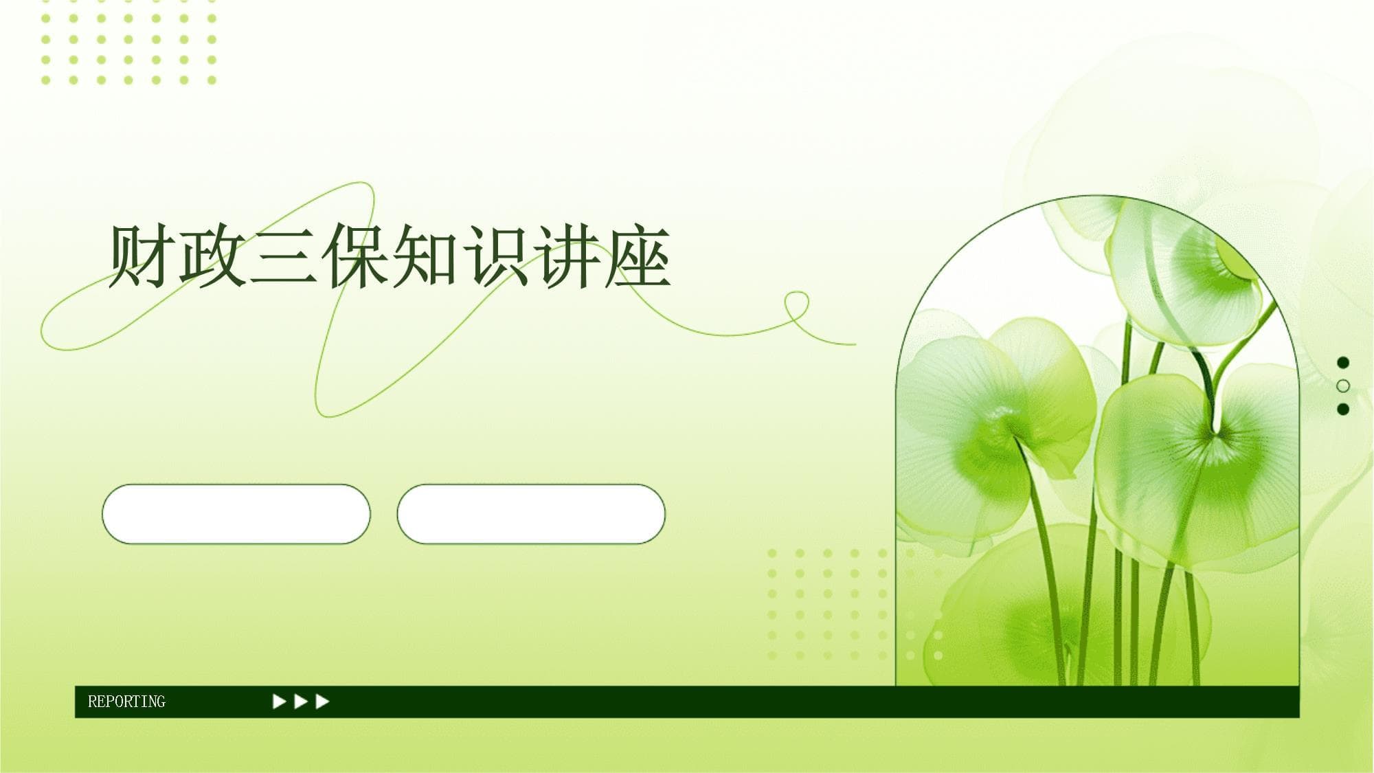 财政三保知识讲座