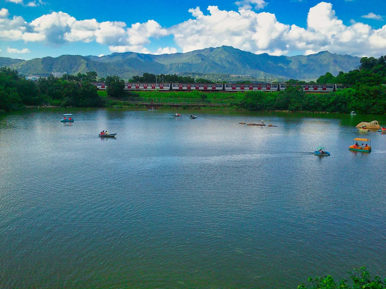 永定龙湖路亚基地：垂钓爱好者的天堂