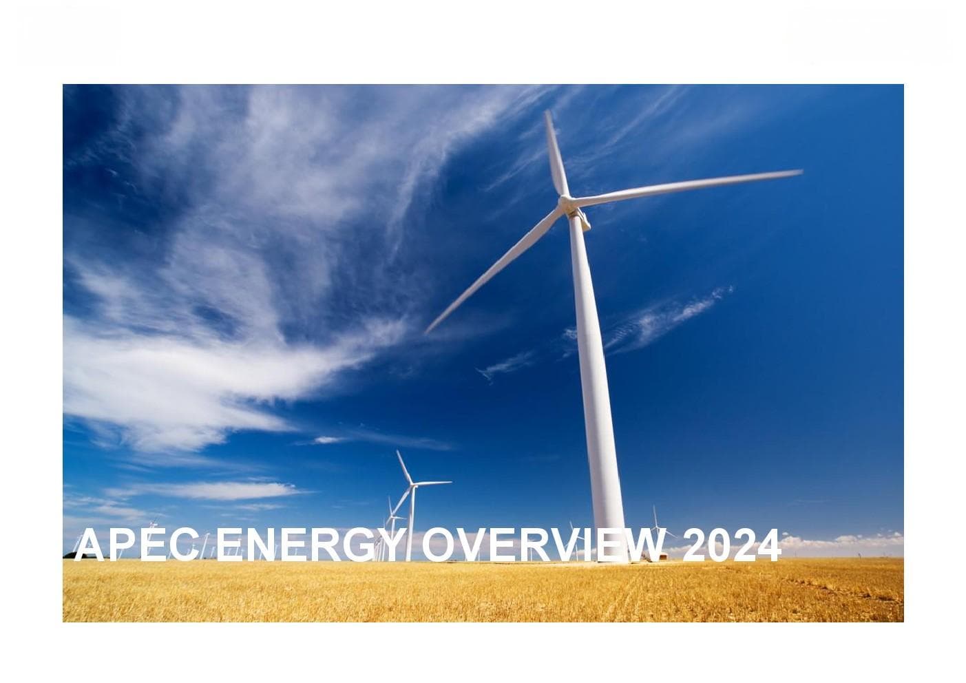 亚太经合组织：2024年亚太经合组织能源展望报告