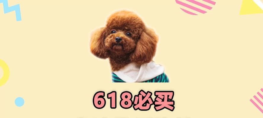 如何选择高性价比的幼犬泰迪狗粮